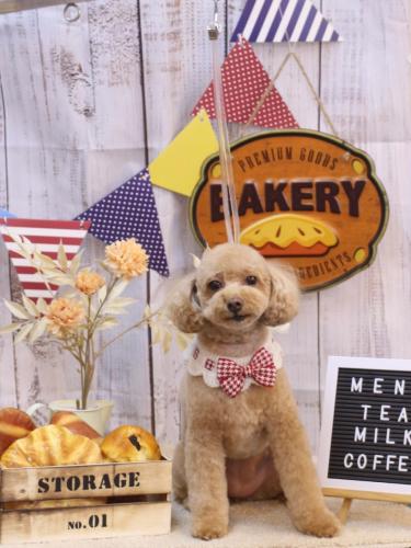 20240918めるちゃん